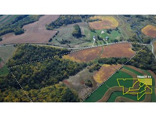Property photo 37 - 1,153 +/- Acres offered in 15 TractsLAND AUCTION